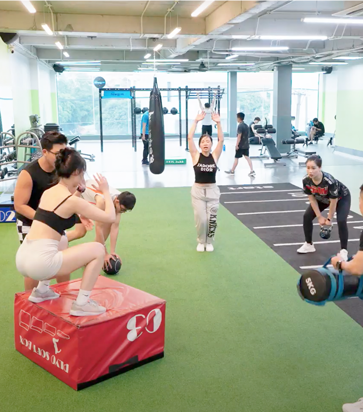 bài tập gym cơ bản