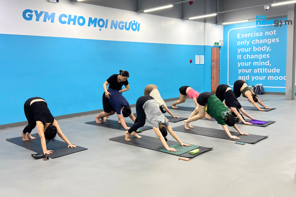 Lớp Tập Yoga The New Gym Điện Biên Phủ Quận 3