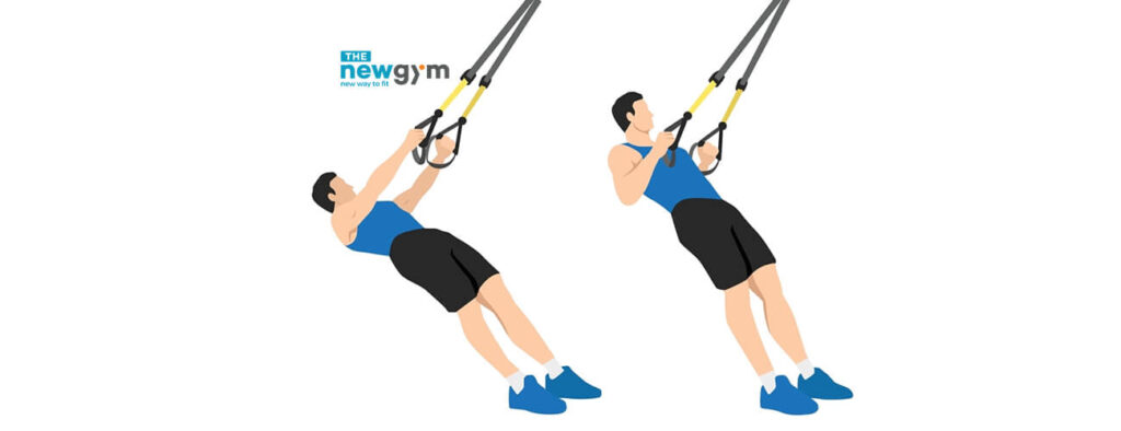 Hướng Dẫn Kỹ Thuật Tập Inverted Row An Toàn Và Hiệu Quả