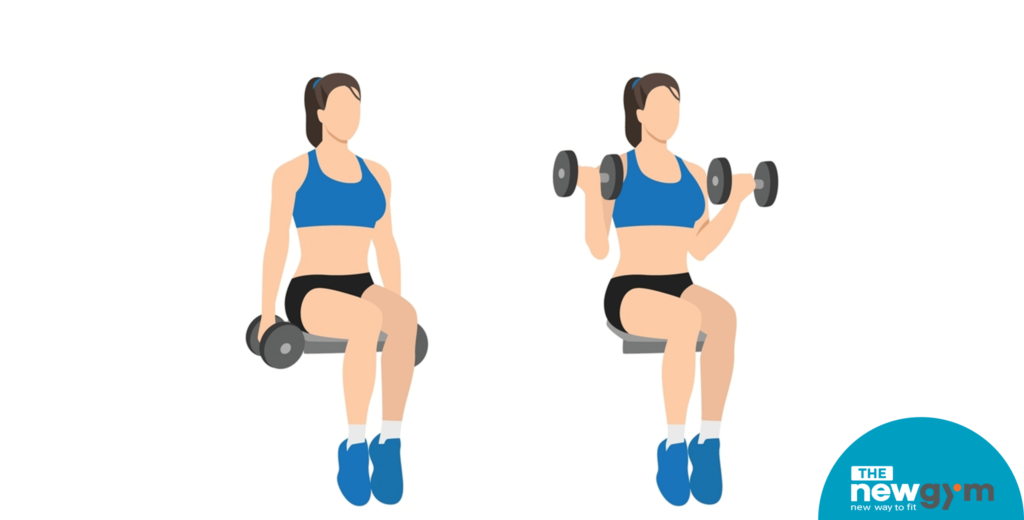 Seated Hammer Curls