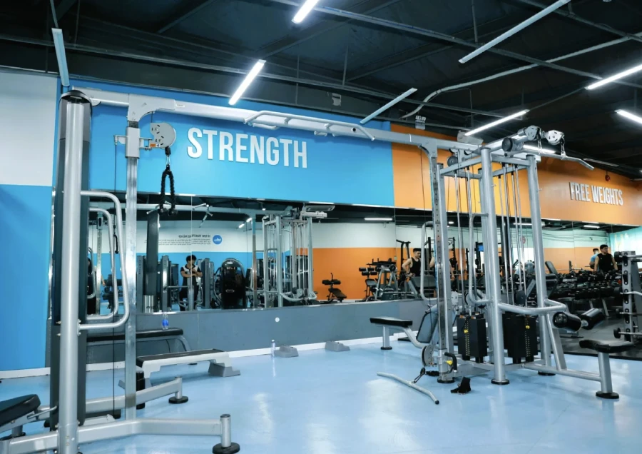 The New Gym Hậu Giang