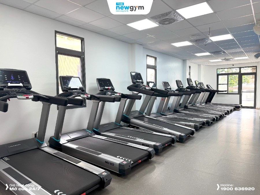 The New Gym Lê Hồng Phong
