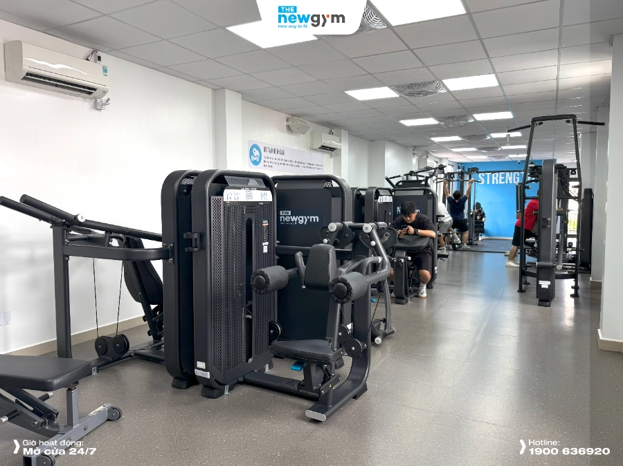 The New Gym Lê Hồng Phong