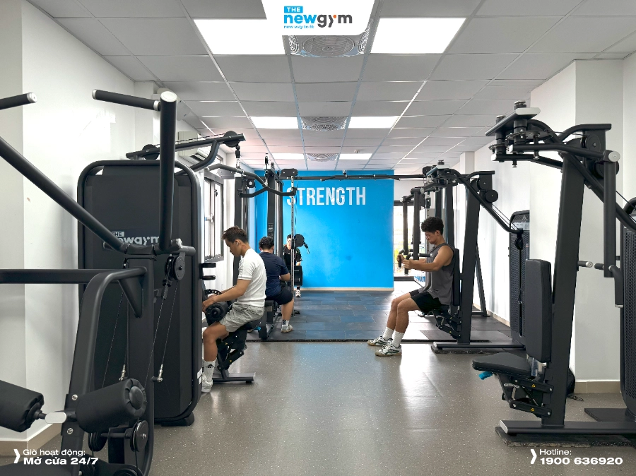 The New Gym Lê Hồng Phong