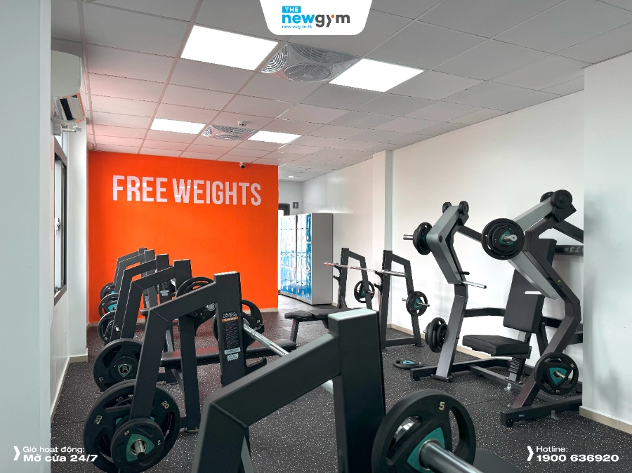 The New Gym Lê Hồng Phong