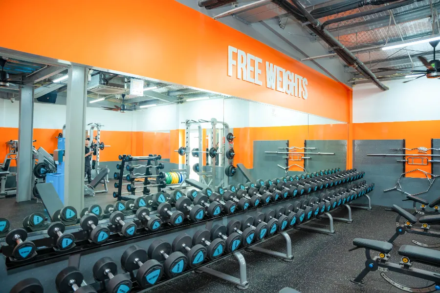 The New Gym Nam Kỳ Khởi Nghĩa