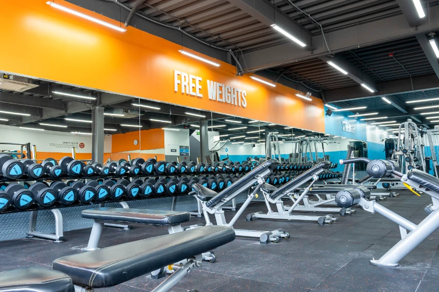 The New Gym Nguyễn Thị Thập