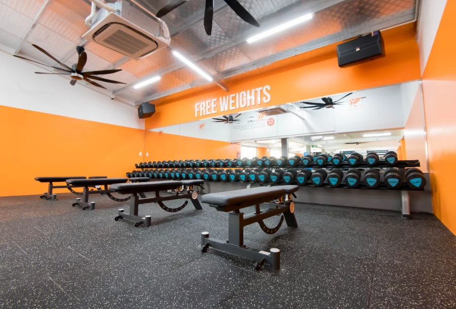 The New Gym Phan Đăng Lưu