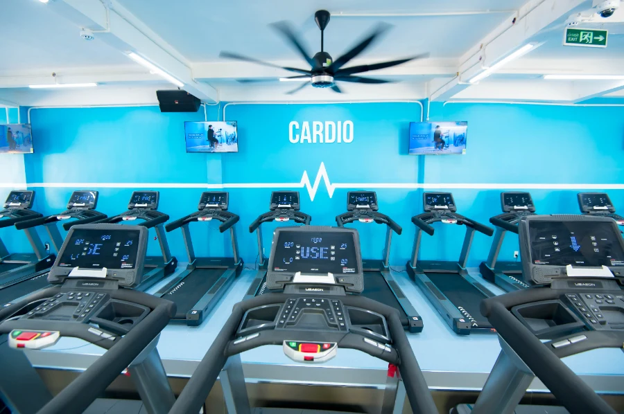 The New Gym Phan Đăng Lưu