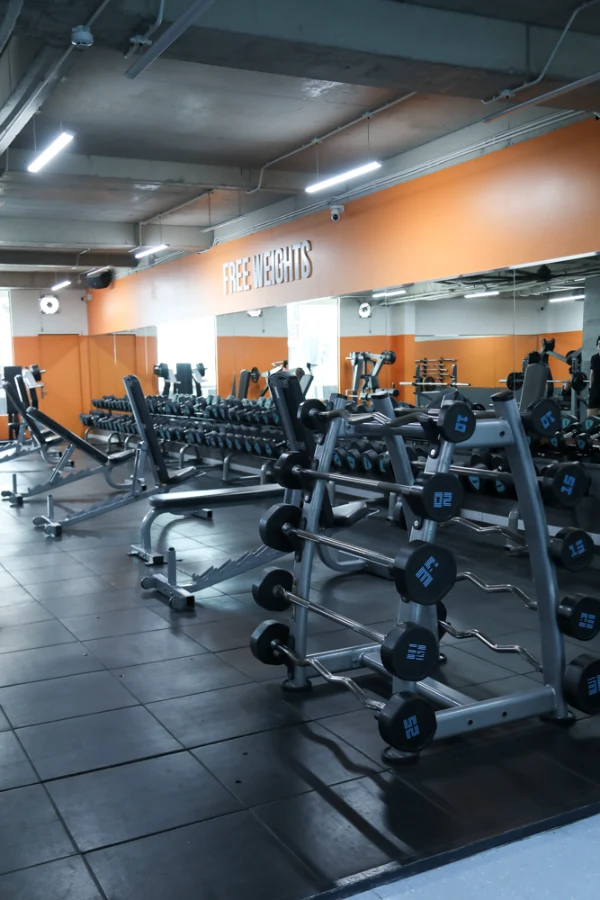 The New Gym Ung Văn Khiêm, Phường 25, Bình Thạnh