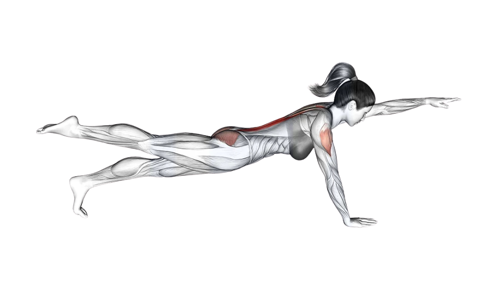 functional training