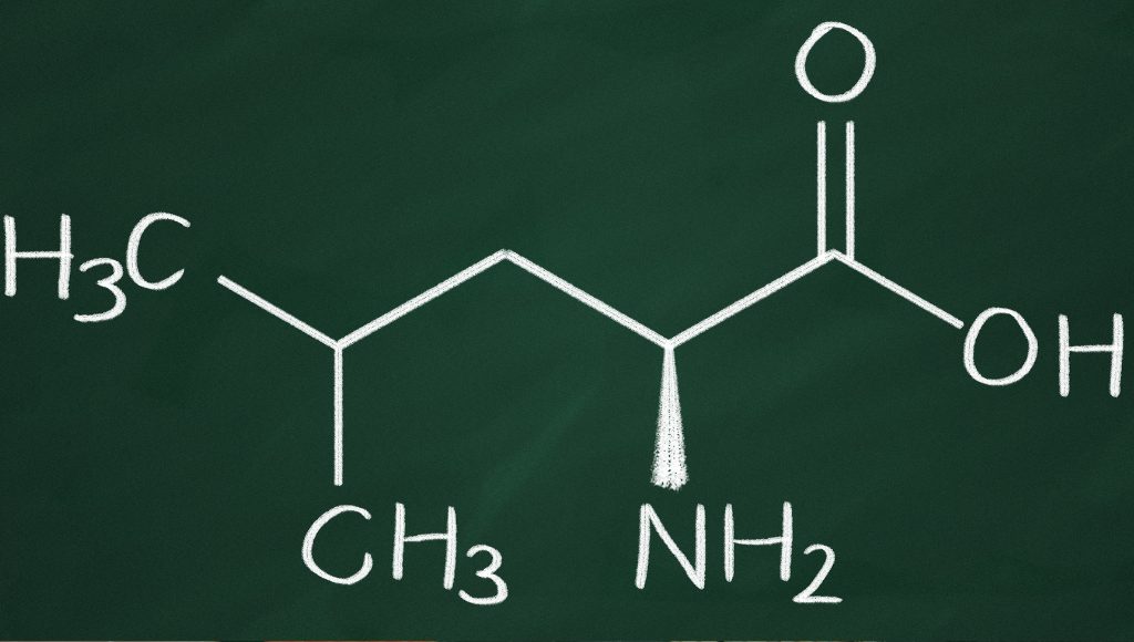 Leucine là gì